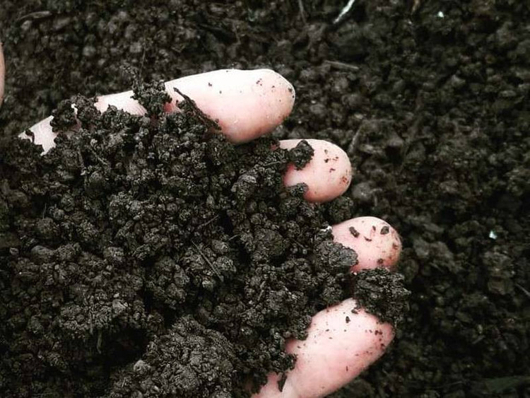 تولیدشده از محصولات سلولوزی و مشتقات ورمی کمپوست ، حاوی ماده آلی ، هوموسی و فاقد شوری