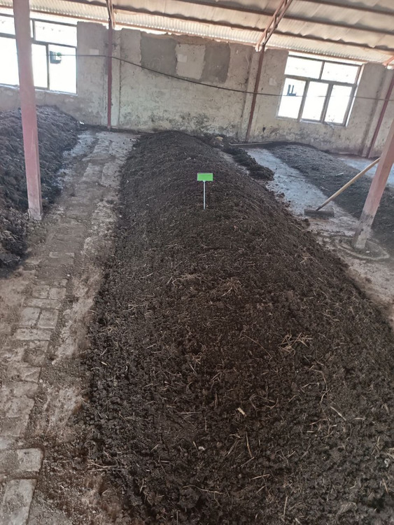 تولید شده از کوهای دامی با ارتفاع پائین بستر