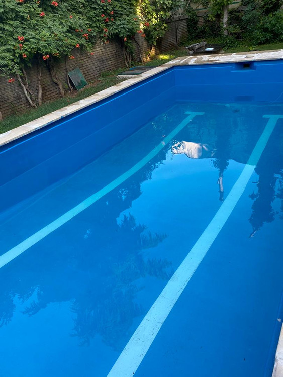 عایق رنگی استخر